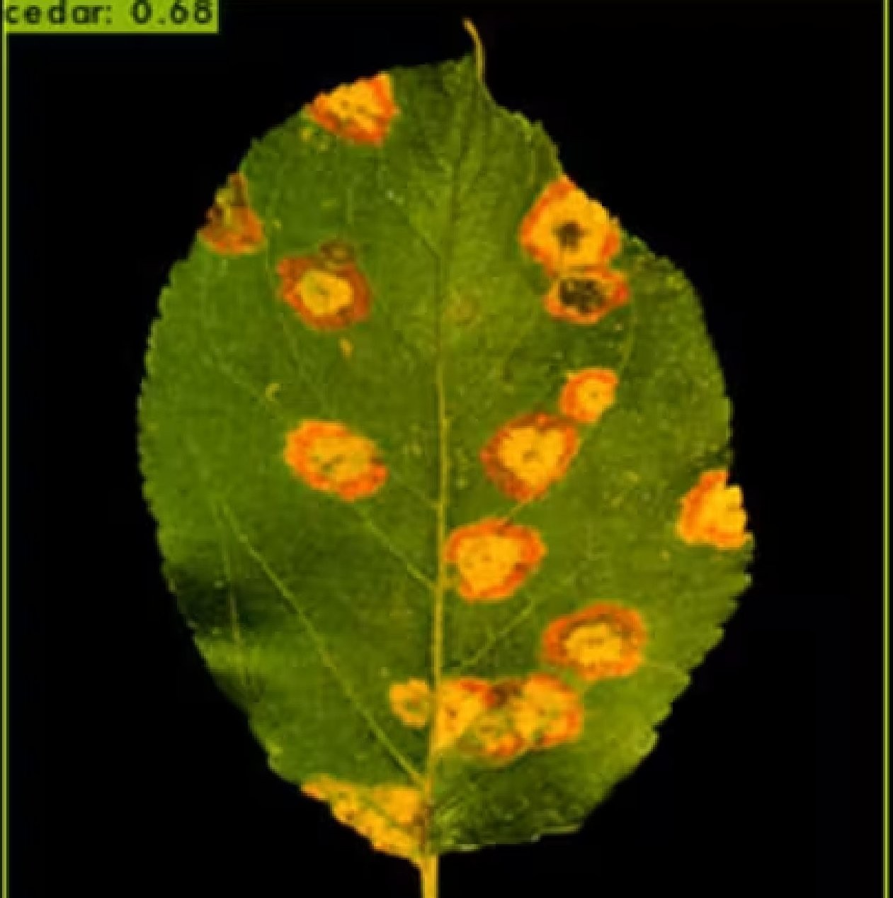 fig5.jpg