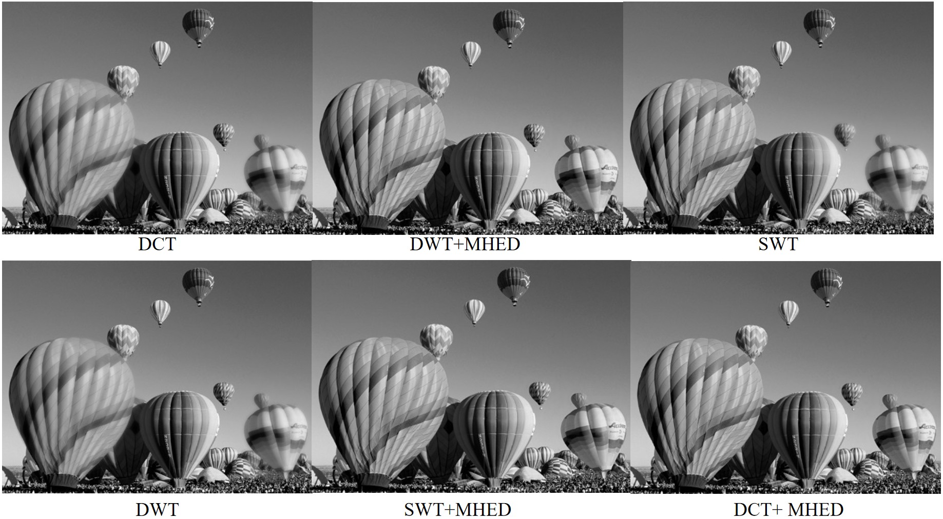 fig10.jpg