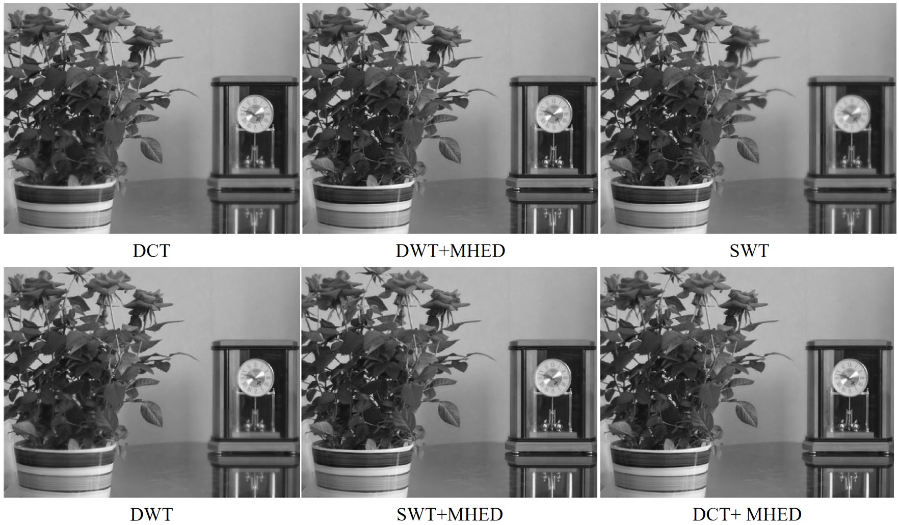 fig4.jpg