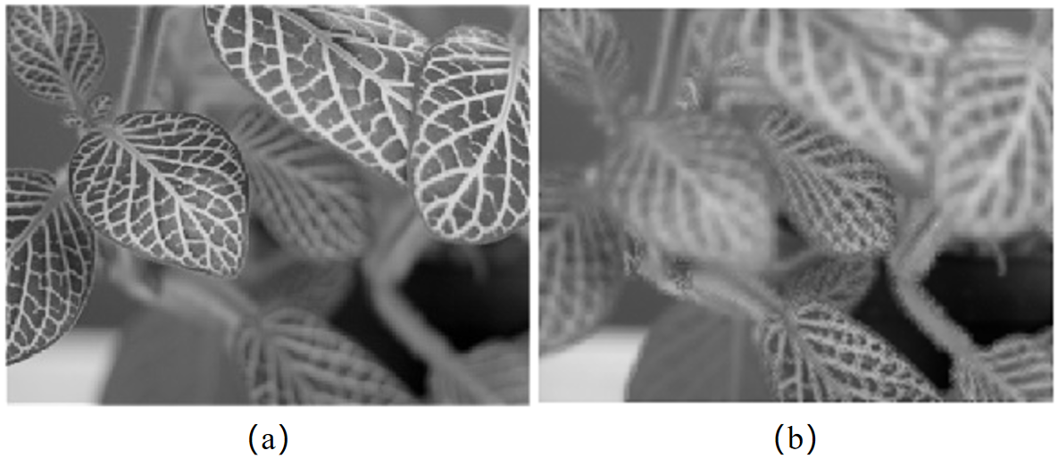 fig7.jpg