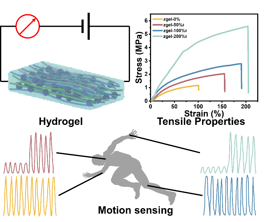 Muscle-Inspired Anisotropic Hydrogels via Pre-Stretching for Direction-Sensitive Human Motion Monitoring