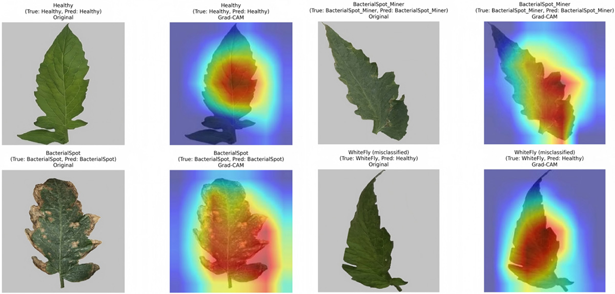 Comparative Study of Lightweight Deep Learning Models for Greenhouse Tomato Leaf Disease Classification Using the Public TLID Dataset