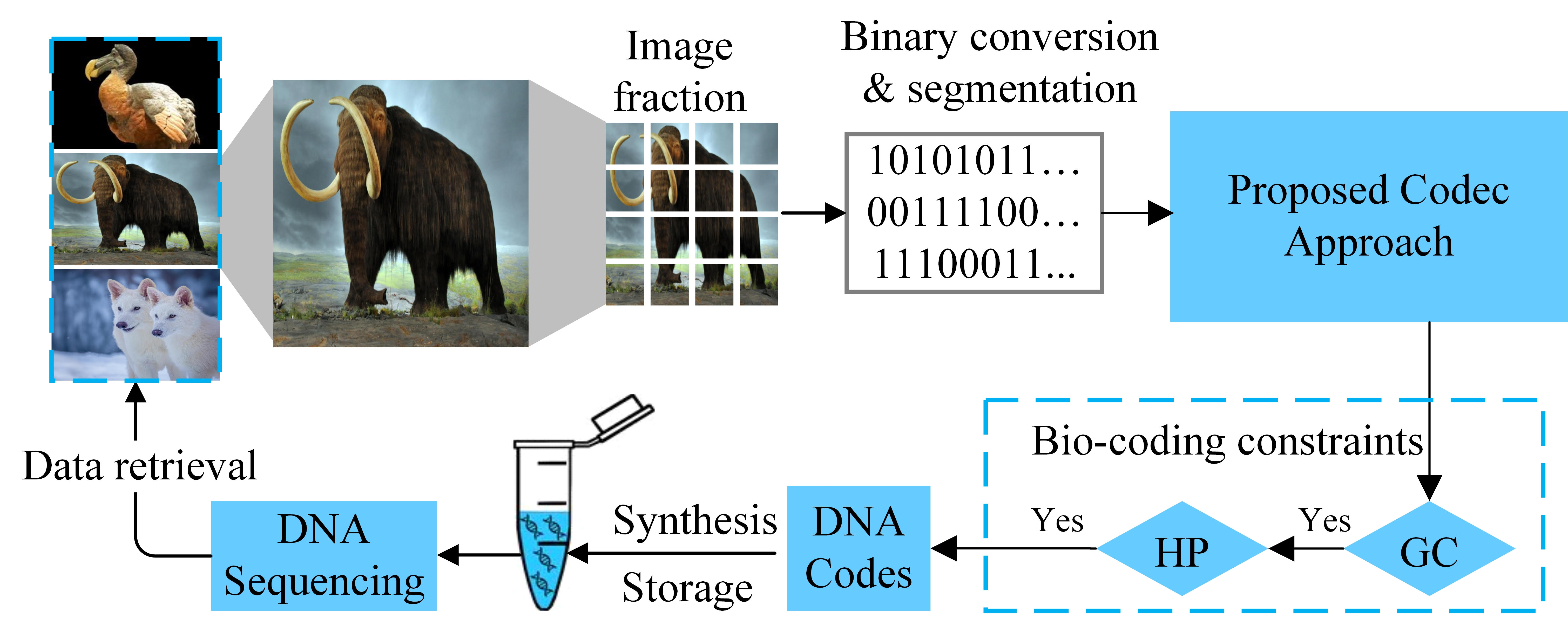 RFS-codec: A Novel Encoding Approach to Store Image Data in DNA