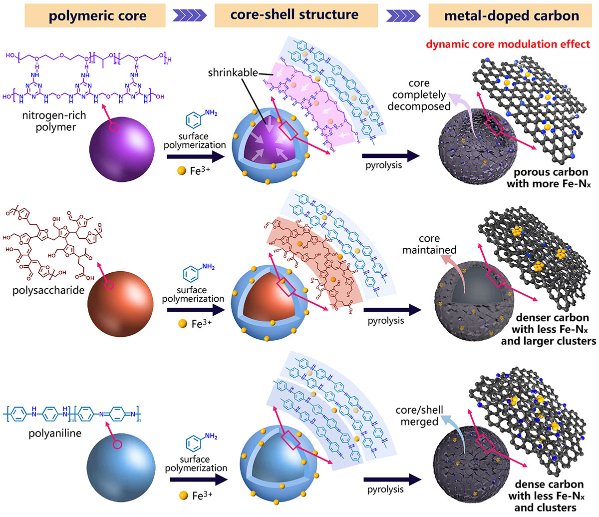 A Dynamic Core Modulation Strategy for Enhancing Active Sites of Polymer-Derived Carbon Electrocatalysts
