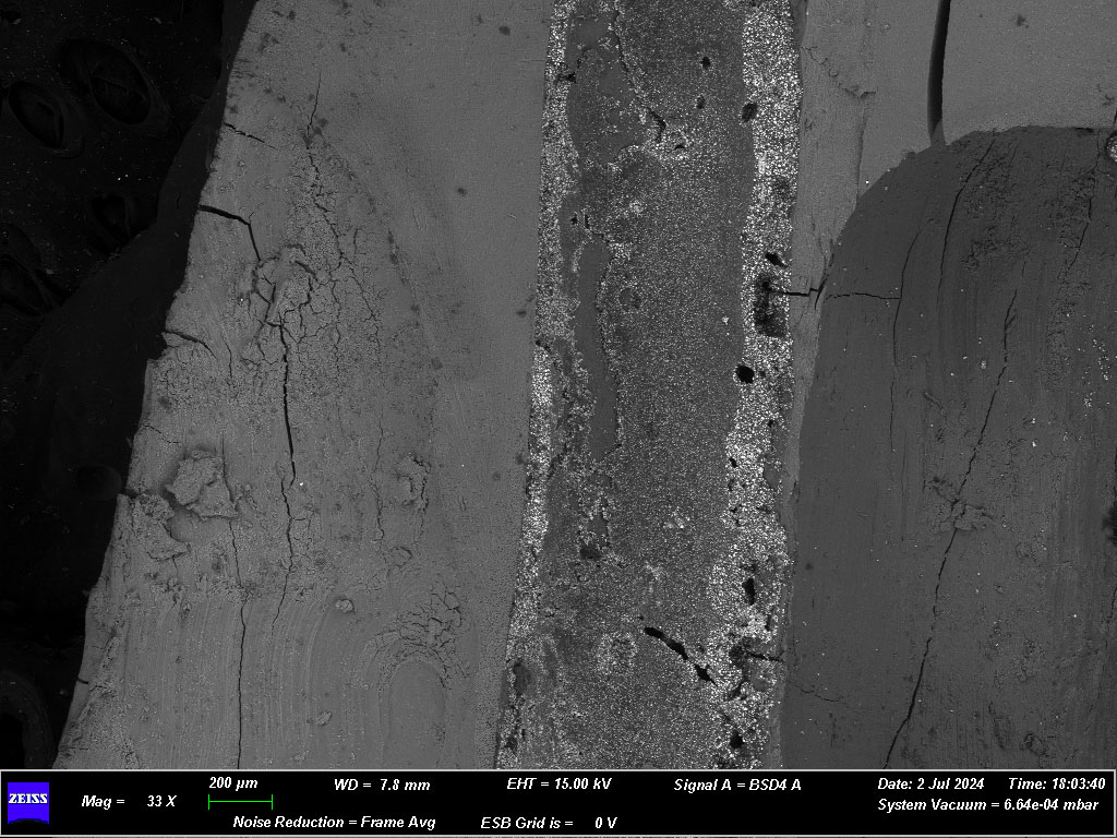 Effect of Silver Nanoparticle Incorporation into an Epoxy Resin-Based Endodontic Sealer on Dentinal Tubule Penetration: An In Vitro Scanning Electron Microscopy Study