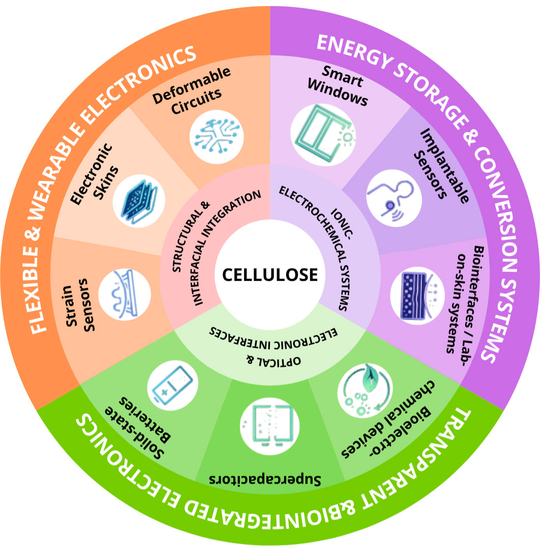 Cellulose Beyond Substrates: Emerging Functional Roles in Sustainable Advanced Electronics