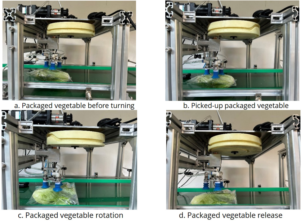 Design and Experiments of a Machine Vision-Based Directional Arrangement Device for Packaged Vegetables