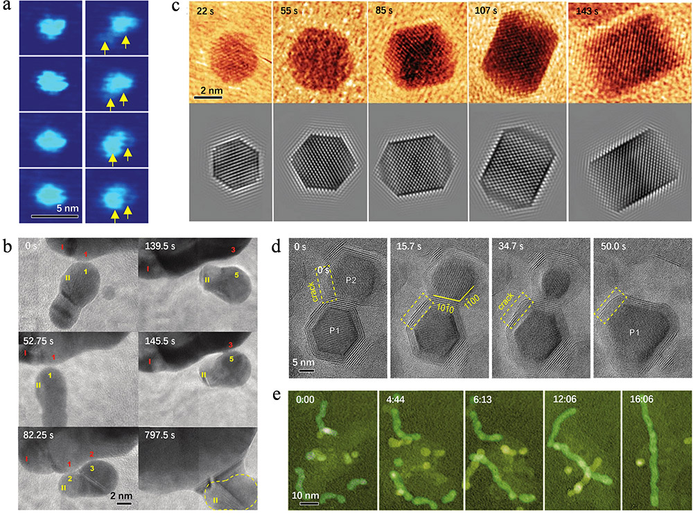 Liquid Phase Transmission Electron Microscopy for Nanomaterial Dynamics and Applications