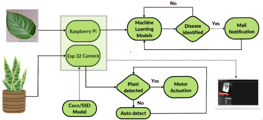 Smart Farm Rover: Autonomous Plant Disease Detection and Classification with Machine Learning