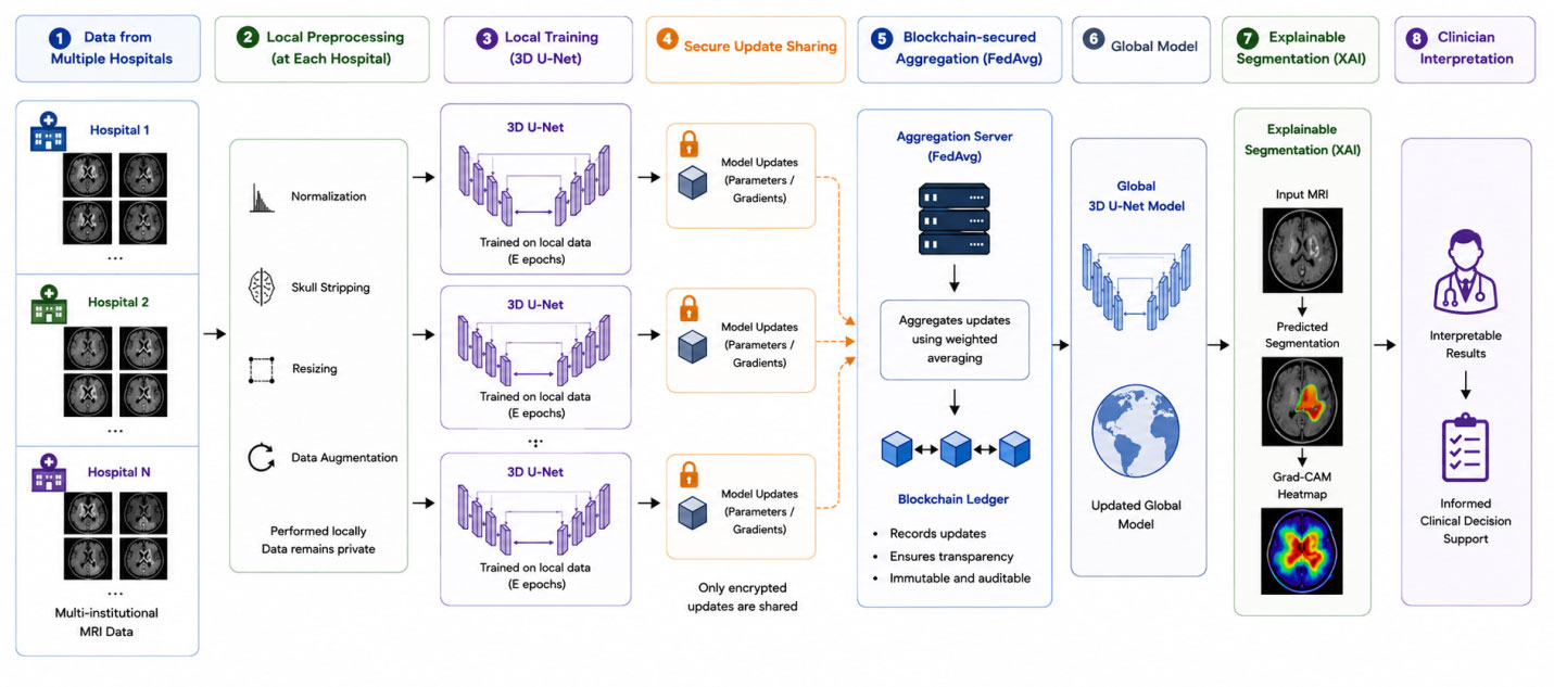 Decentralized and Explainable Brain Tumor Segmentation: A Blockchain-Secured Federated Learning Approach