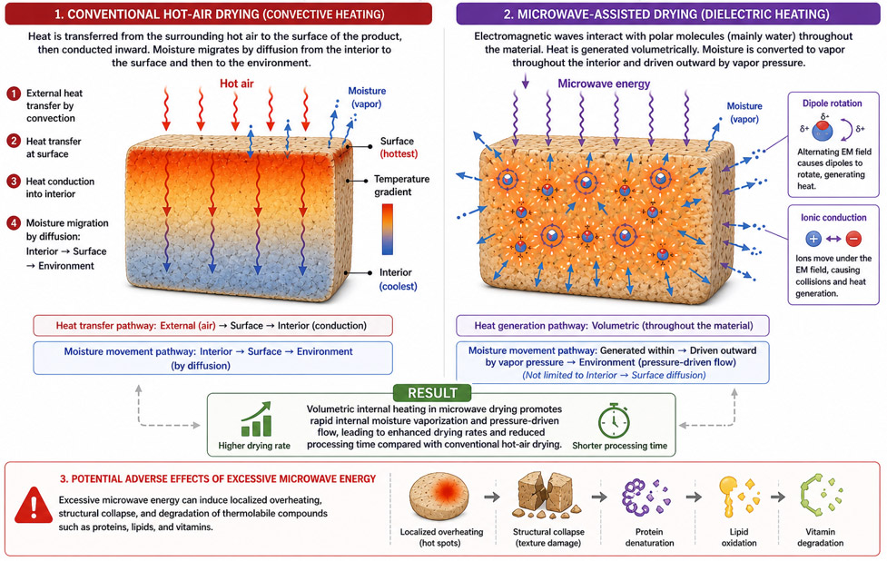 Response Surface Methodology Study of the Synergistic Effects of Soaking Pretreatment and Microwave Power on the Proximate Composition of Tiger nut (Cyperus esculentus L.)