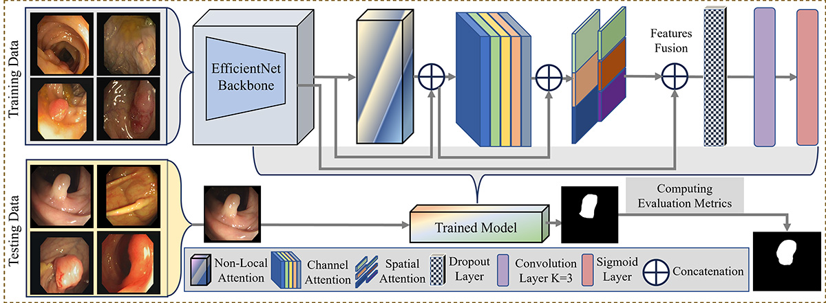 ColoSegNet: Visual Intelligence Driven Triple Attention Feature Fusion Network for Endoscopic Colorectal Cancer Segmentation