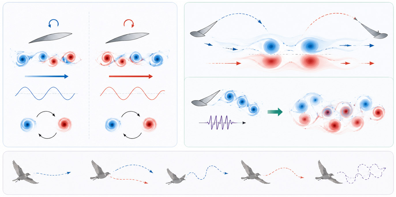 Beyond Periodic Flapping: Adaptive Unsteady Aerodynamics in Bio-inspired Flying Robots