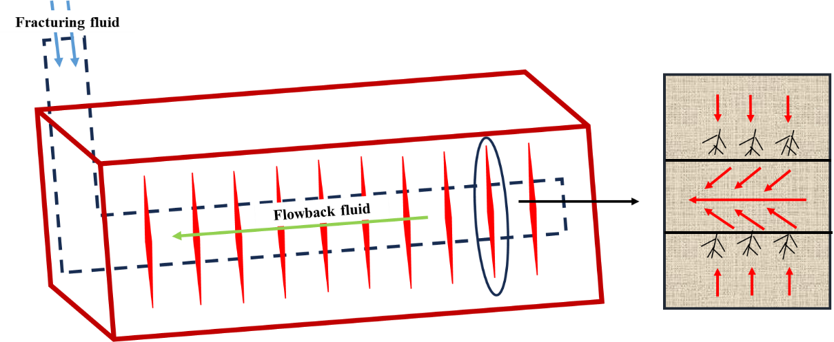 Fracturing Effectiveness Evaluation Based on Flowback Data Using Pressure Transient Testing