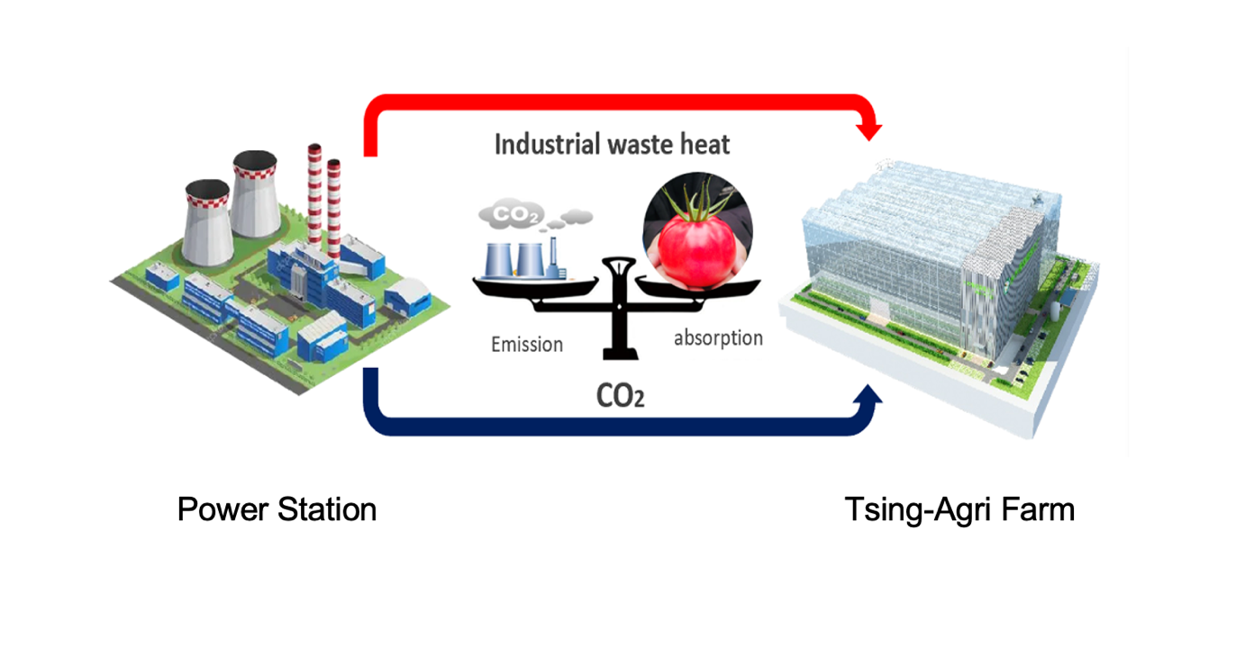 The Tsing-Agri Farm Paradigm: Integrating Controlled Environment Agriculture with Industrial Systems for a Low-Carbon Future