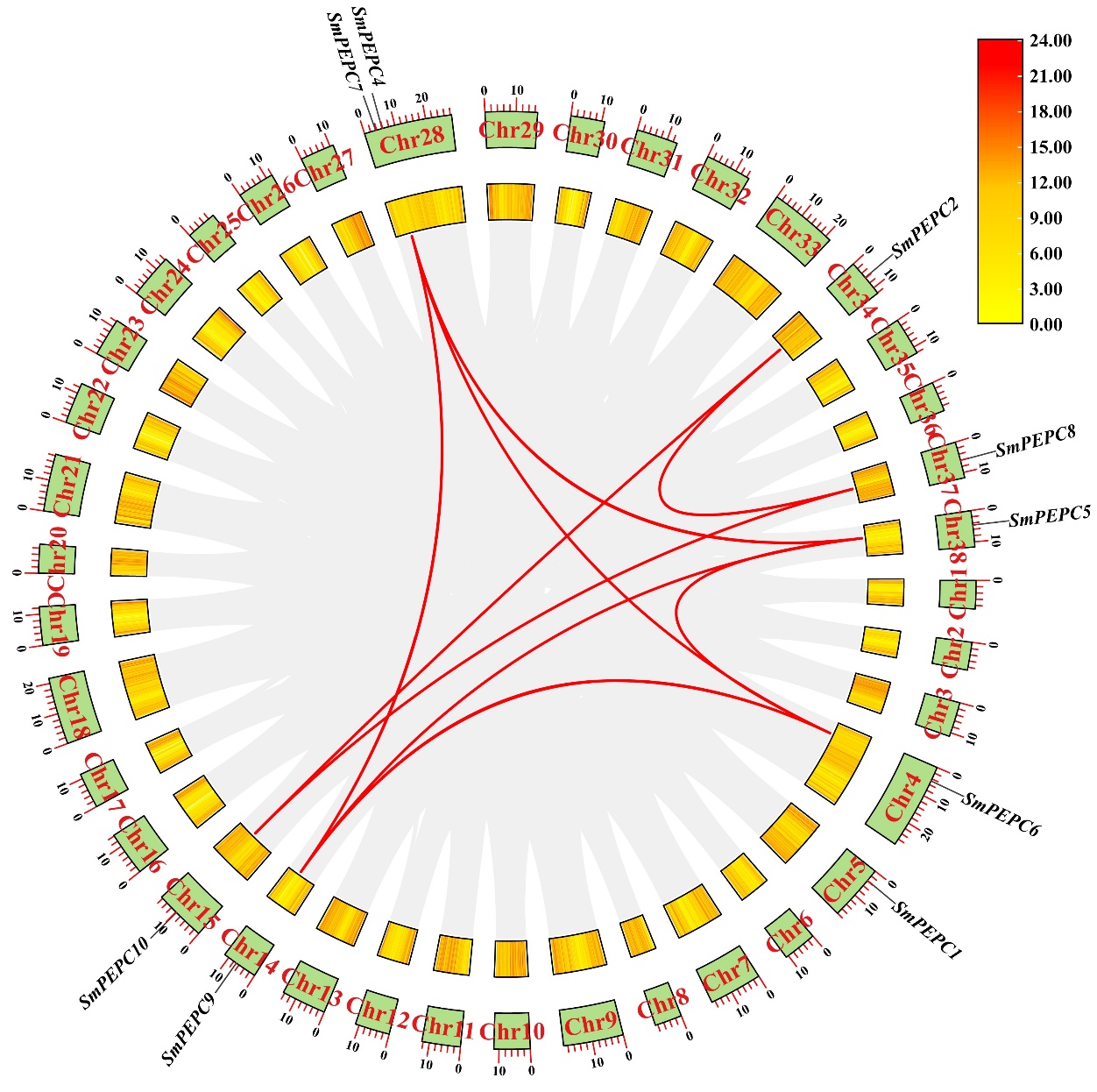 Characterization, Evolutionary Insights, and Stress-Responsive Expression of the Phosphoenolpyruvate Carboxylase (PEPC) Gene Family in Salix Matsudana