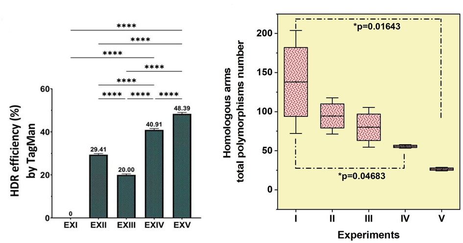 CRISPR-Cas Genome Editing in Plants: Revolutionizing Precision Agriculture and Plant Biotechnology
