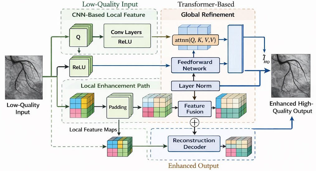 Hybrid CNN–Transformer Framework for Structure-Preserving Enhancement of Coronary Angiography Images