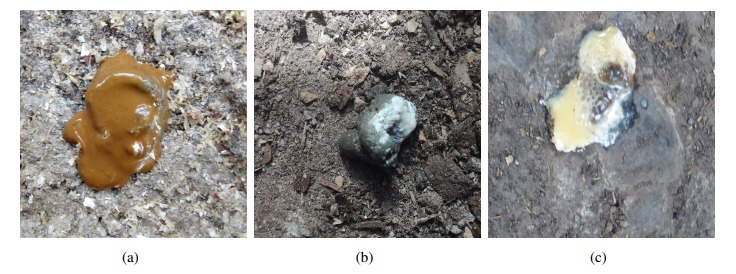 Embedded Electronic IoT System for Poultry Health Monitoring and AI-Powered Disease Detection from Feces