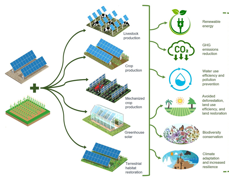 Prospects of Agrivoltaics as a Sustainable Mitigation Solution to the Nomadic Cattle Rearing Crisis in Nigeria: A Review