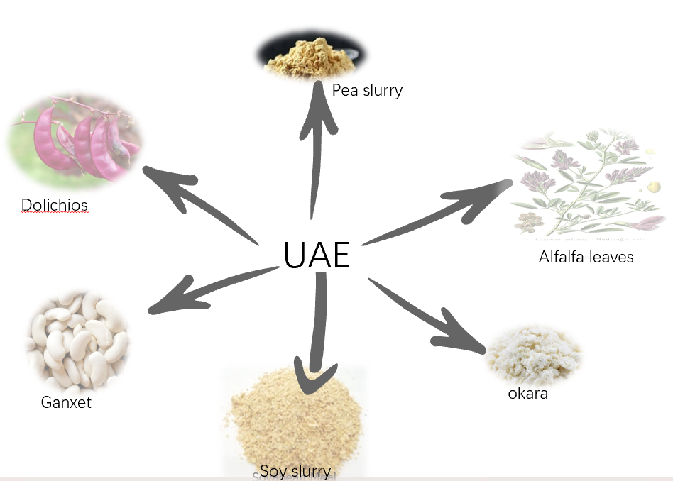 Ultrasound as a Technique to Extract Plant Proteins: Effects, Yields and Modifications