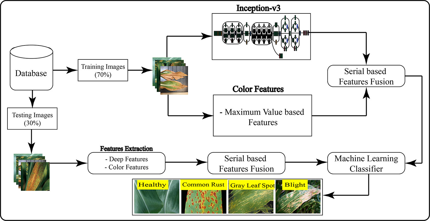 Maize Leaf Disease Classification Using a Hybrid Framework Integrated with Color and CNN-Derived Features