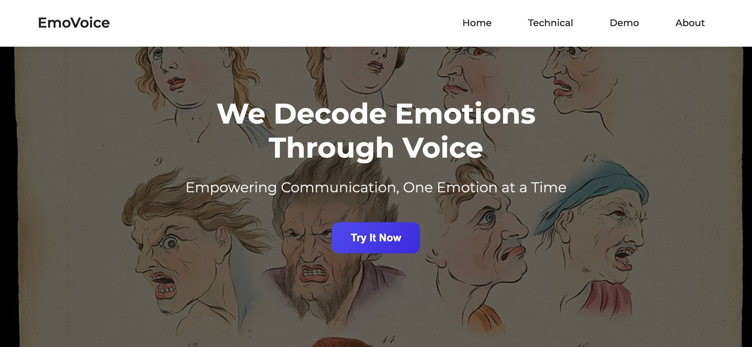 Emotion Detection from Speech Using CNN-BiLSTM with Feature Rich Audio Inputs