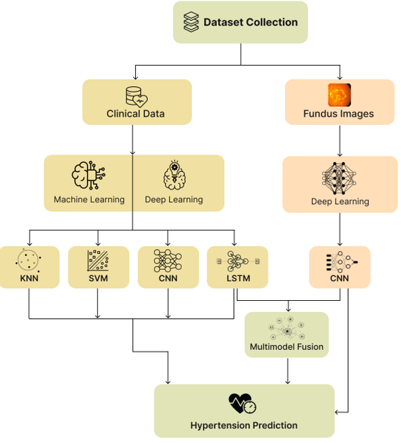 FusedCNN-LSTM: A Software-Oriented Multimodal Deep Learning Framework for Intelligent Hypertension Risk Prediction
