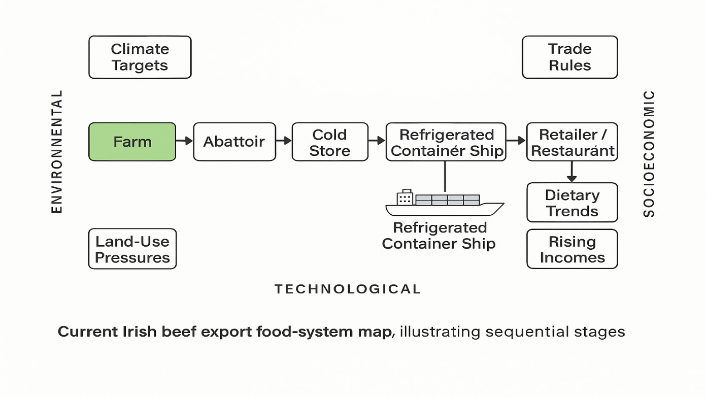 Turning Voyage Time into Value: An Integrated Shipping-and-Aging Intervention for Irish Beef Exports