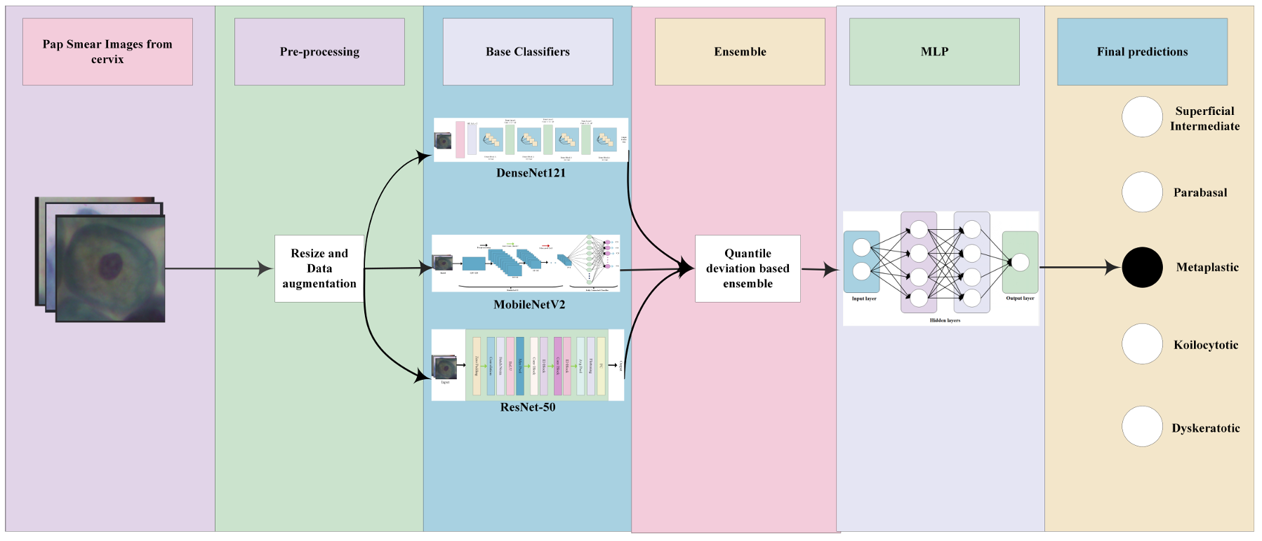 Quantile Deviation Ensemble Based on Multi-Layer Perceptrons for Cervical Cancer Classification with Uncertainty Perception