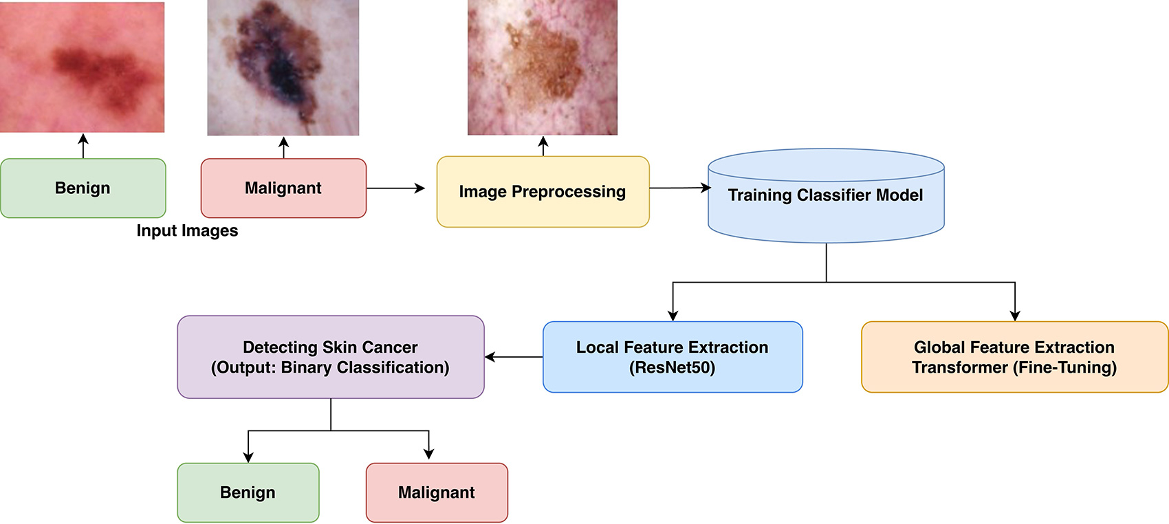 Transformer Enabled ResNet Based Automated Skin Cancer Detection System