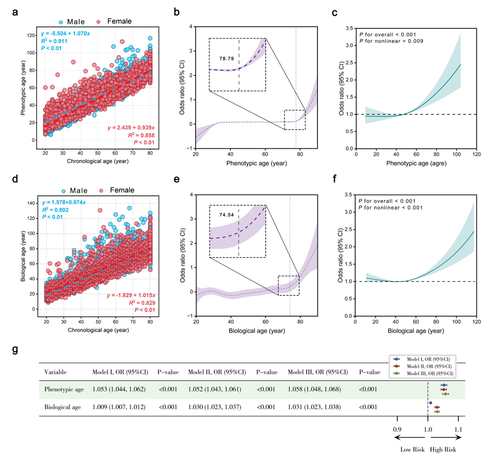 A Data-driven Framework for Modeling Environmental Exposure Mixtures, Biological Aging Acceleration, and Chronic Disease Risk in U.S. Adults