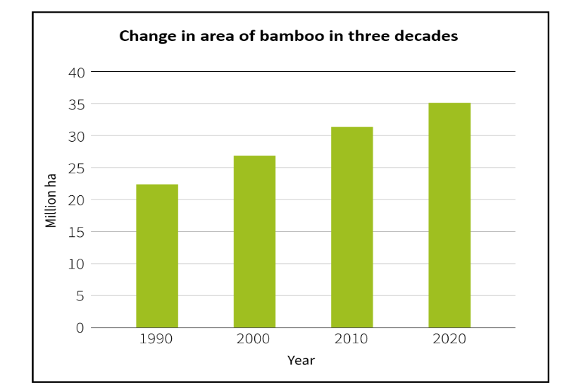 China's Bamboo Forest Management Policies in the Era of Artificial Intelligence: Resources, Regulation, and Sustainable Development Prospects
