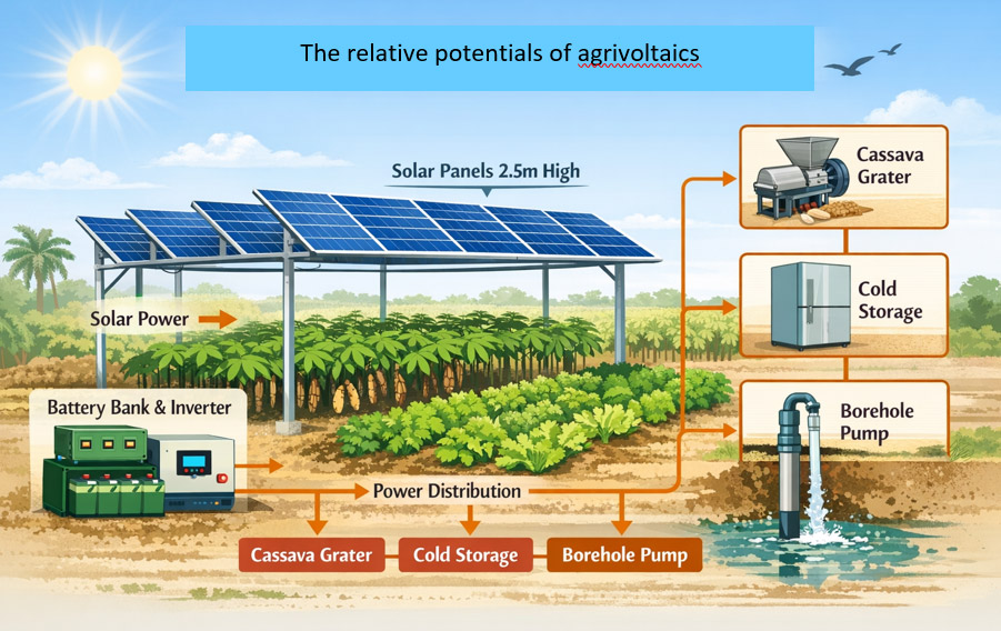 Agrivoltaics Potentials for Food Processing and Water Supply in Rural Electrification-deficient Areas: A Case Study of Anambra Agricultural Zones, Nigeria