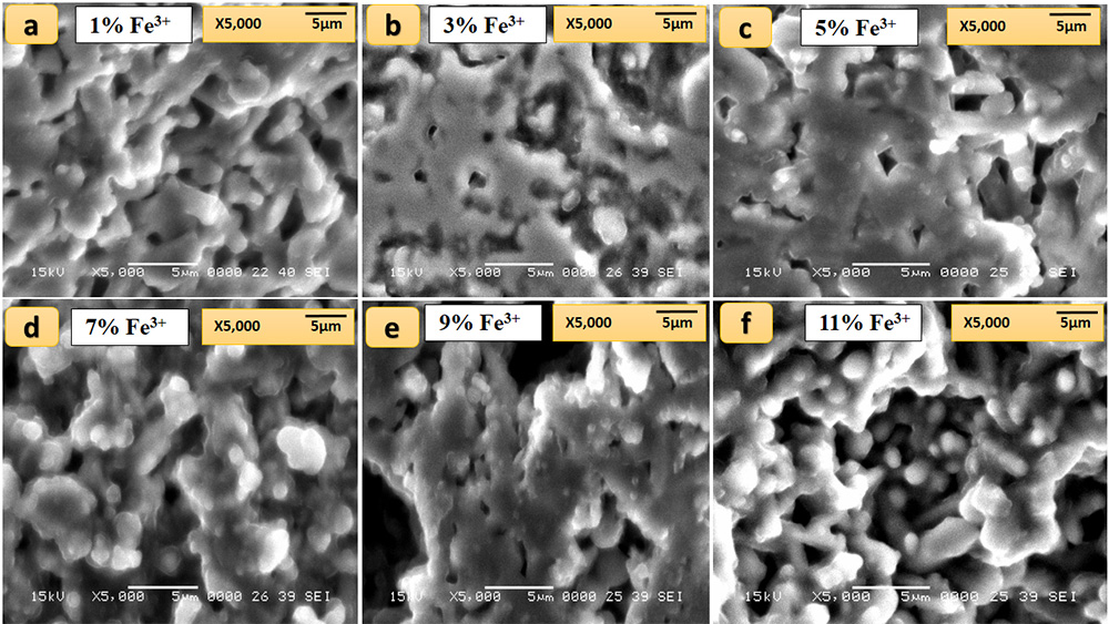Functional Properties of SrTi\(_{1-x}\)Fe\(_x\)O\(_3\) Dielectric Ceramics