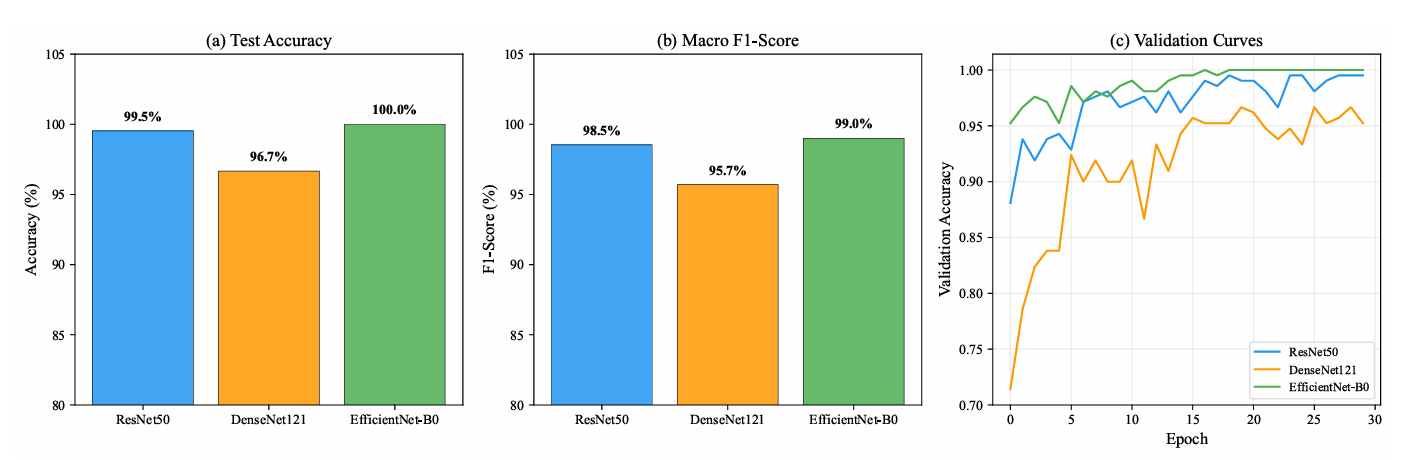 Comparative Study of Transfer Learning Strategies for Multi-Class Skin Lesion Classification: Architectures, Fine-Tuning, and Data Augmentation