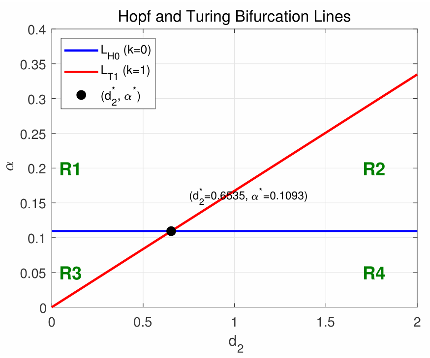 Bifurcation and Stability Analysis in a Spatially Fractional-Order Diffusive Mussel-Algae Model