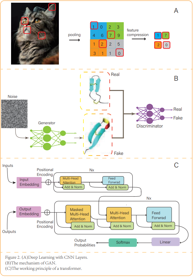 Advances in the Application of Deep Learning for Antimicrobial Peptide Screening