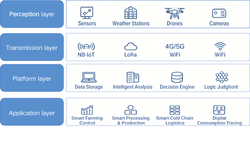 Application Patterns and Challenges of Smart Agriculture Technologies Across the Mango Value Chain