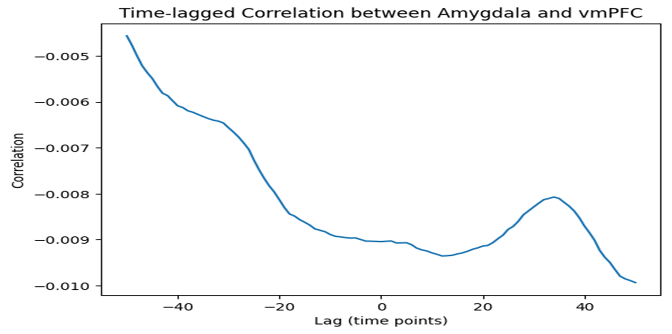 Exploring the Temporal Dynamics and Causal Interactions Between the Amygdala and vmPFC: A Multidimensional Approach Using Time-Lagged Correlation, Granger Causality, and Entropy Analysis
