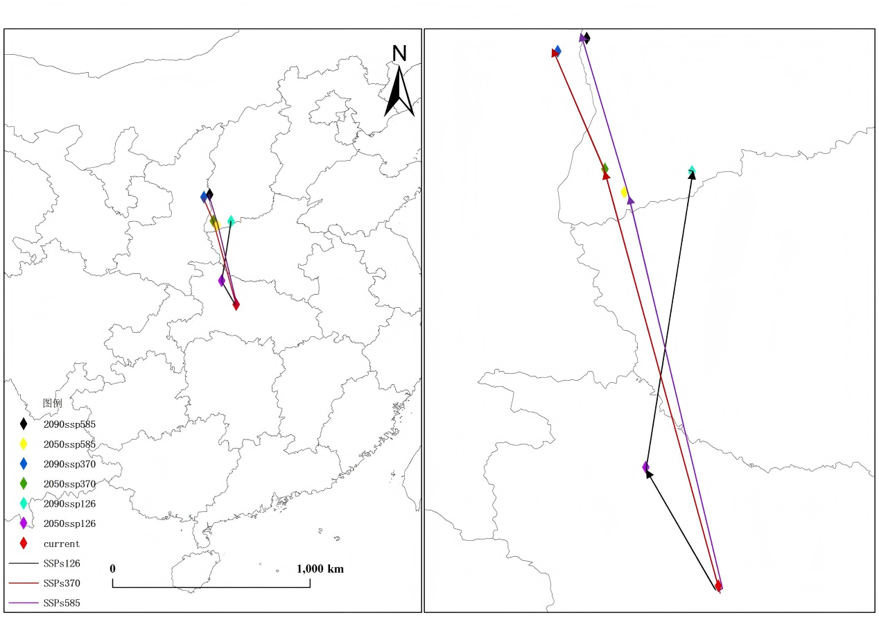 Projecting the Potential Distribution of Pinus Taiwanensis Under Climate Change Using Ensemble Modeling in Biomod2