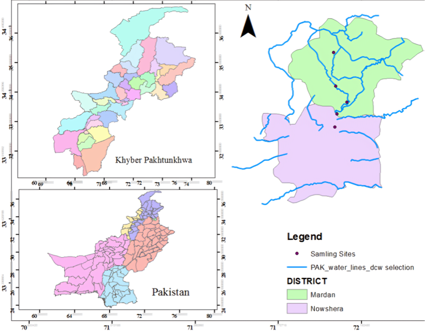 The Ecological Ripple: Investigating Cu and Zn Transfer across Trophic Levels from Fish to Birds in River Kalpani, Pakistan