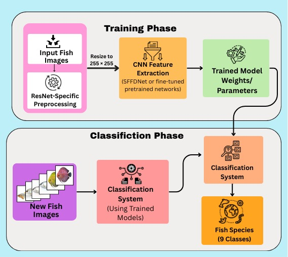Design and Implementation of a Software Engineering-Driven Deep Transfer Learning Framework for Seafood Fish Detection