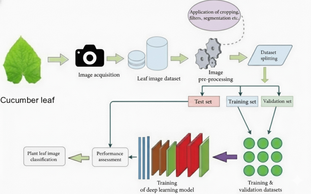 Cucumber Leaf Diseases Recognition Based on Deep Convolutional Neural Networks