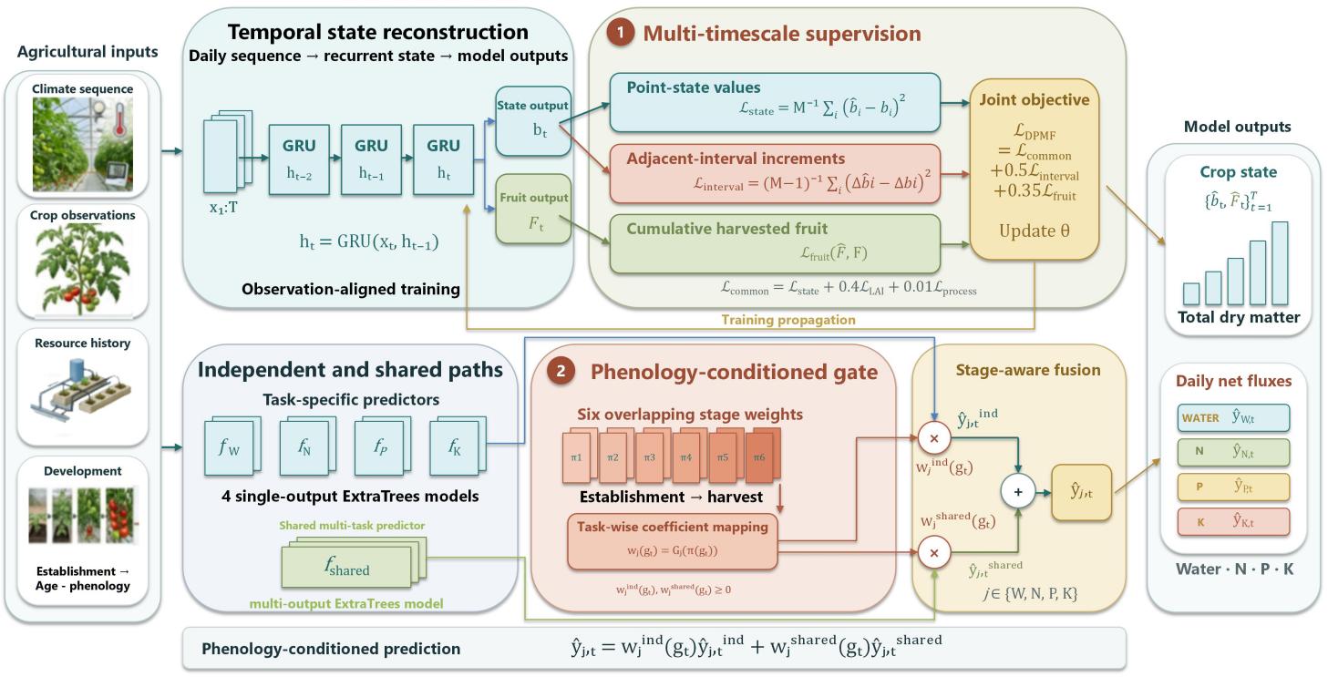 DPMF: Dual-Path Multi-timescale Fusion with Phenology-Gated Prediction for Tomato State and Daily Water-Nutrient Flux Estimation