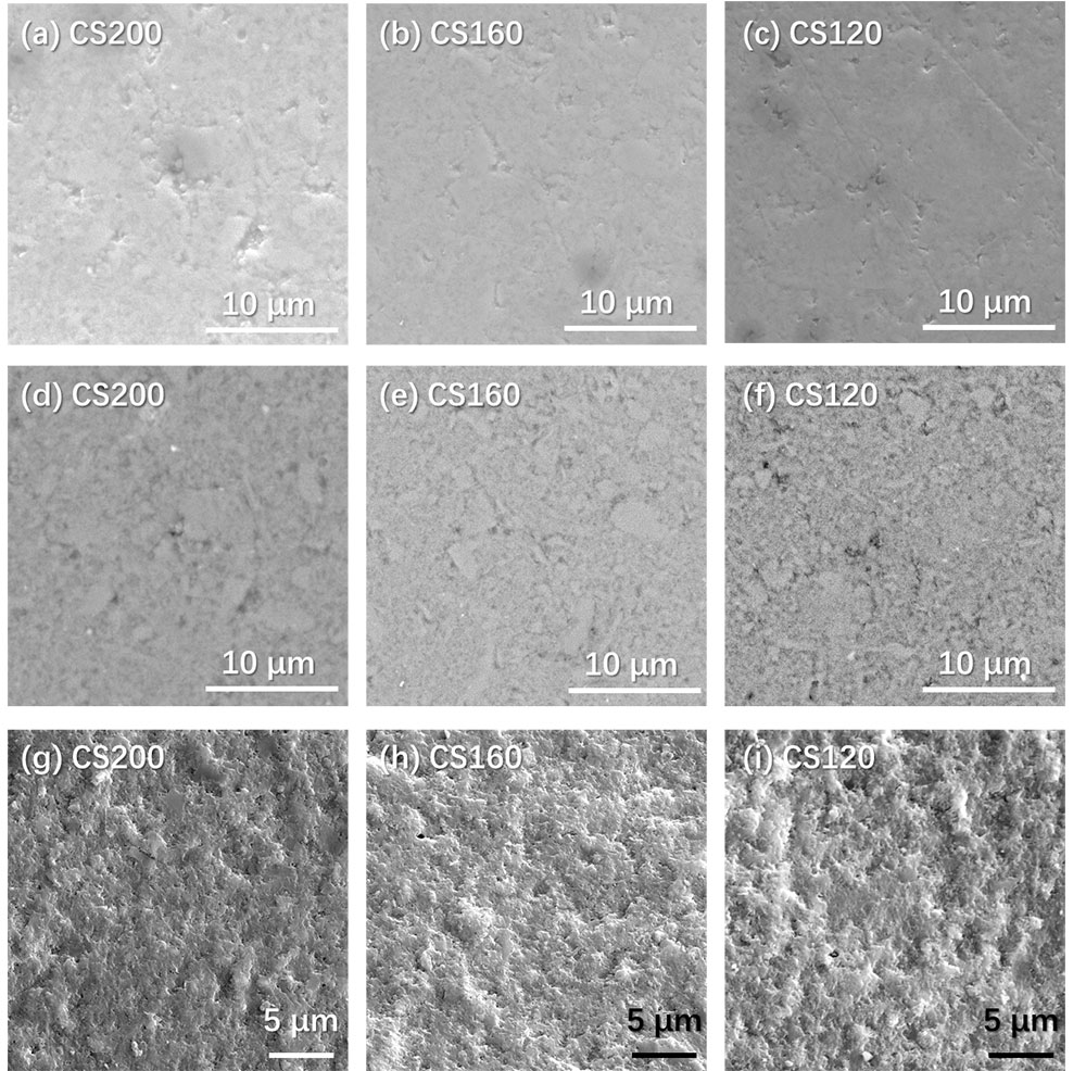 Ionic Conduction in Cold-Sintered Metakaolin Ceramics