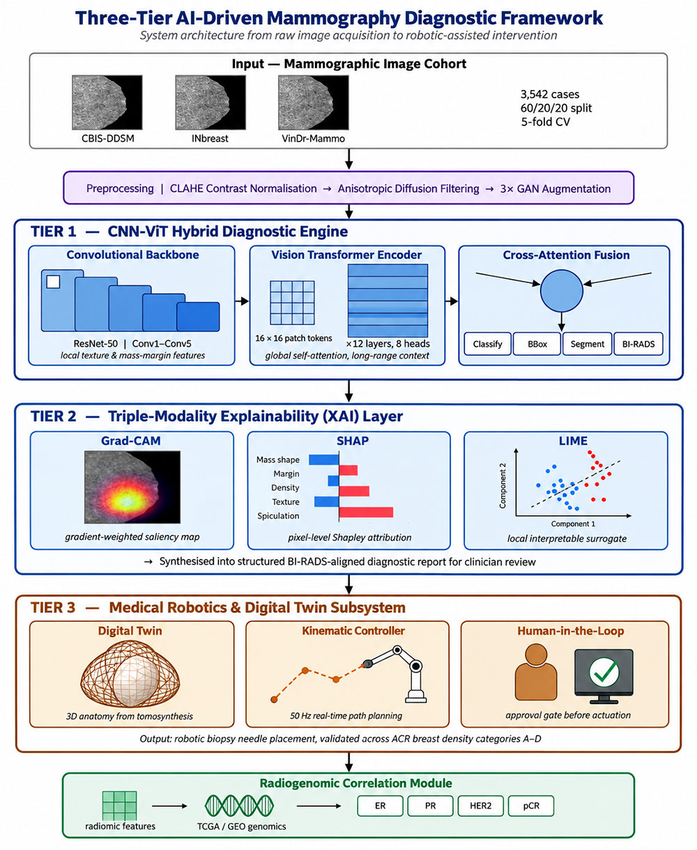 AI-Driven Mammography for Early Breast Cancer Detection: A Three-Tier Framework Integrating CNN-ViT Hybrid Diagnosis, Explainable AI, and Robotic-Assisted Biopsy