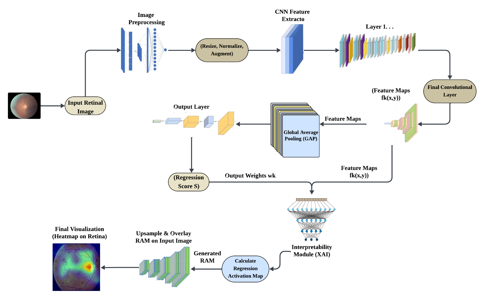 Interpretable Deep Learning for Diabetic Retinopathy Grading using Regression Activation Maps