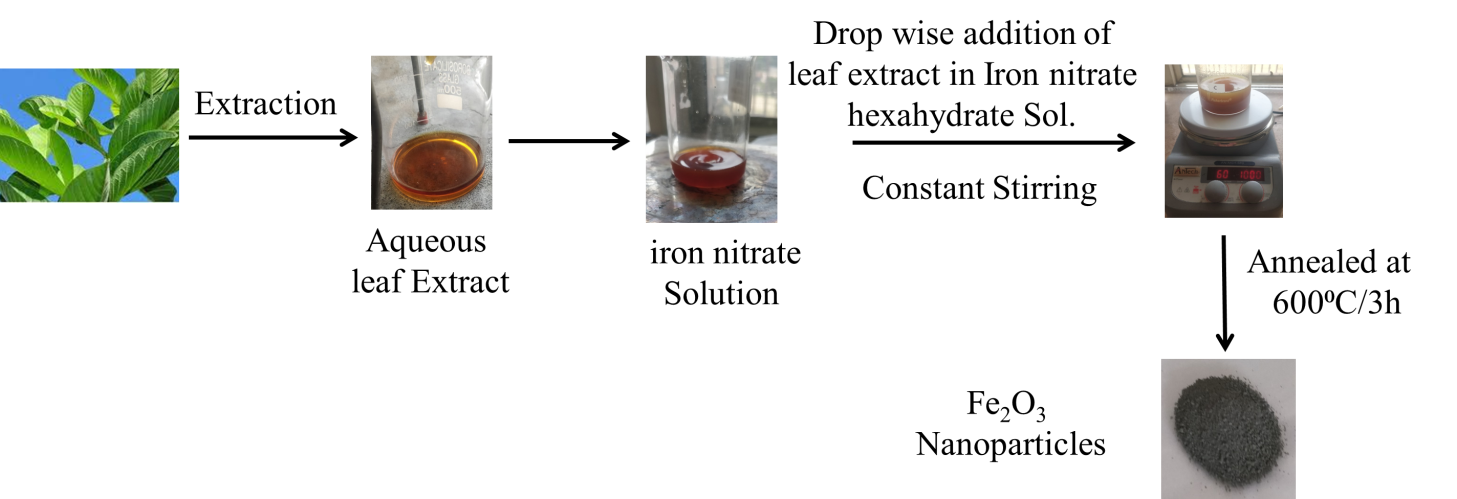 Green Synthesis of Fe2O3 Nanoparticles Utilizing Guava Leaf Extract
