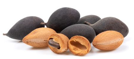 Modeling of Measured Physical Properties and Determination of Chemical Composition of Black Tamarind (Dialium Guineense) Seed